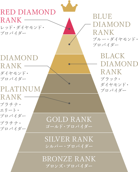 ブラックダイヤモンドプロバイダー受賞